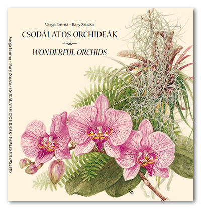 Csodálatos orchideák - Wonderful Orchids